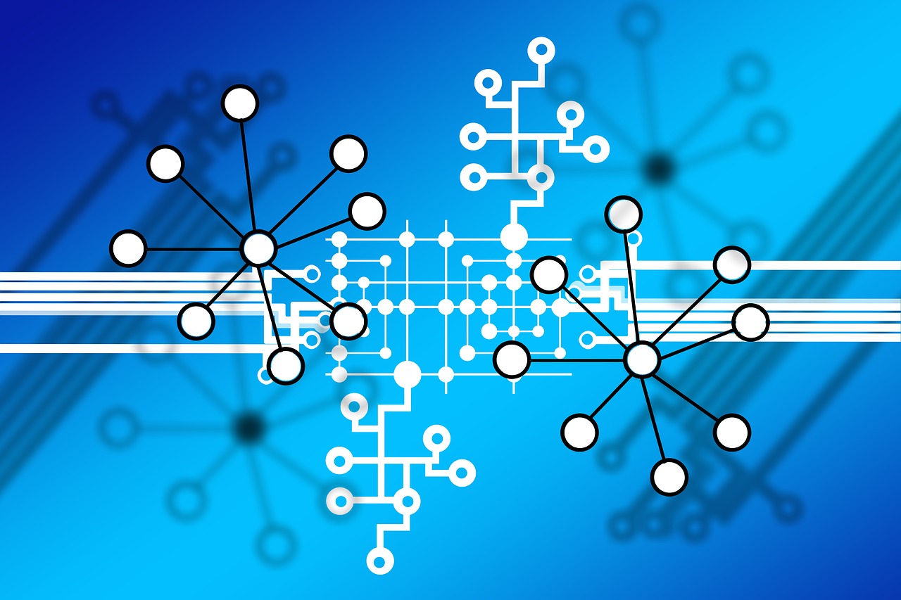 Blockchain Nodes