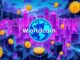 Worldcoin (WLD) kaufen