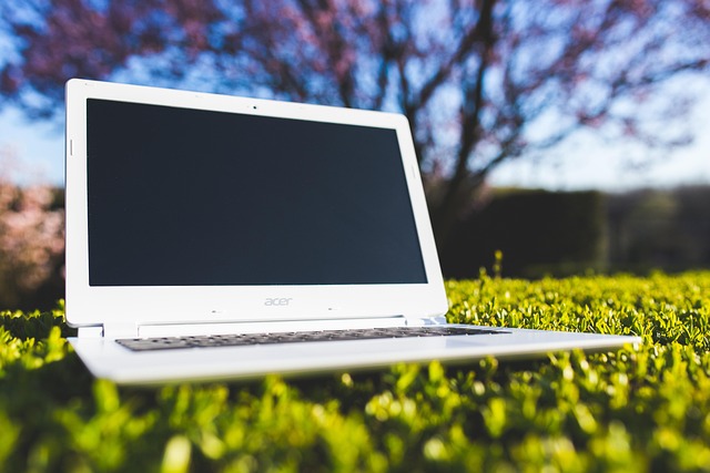 Digital Natur